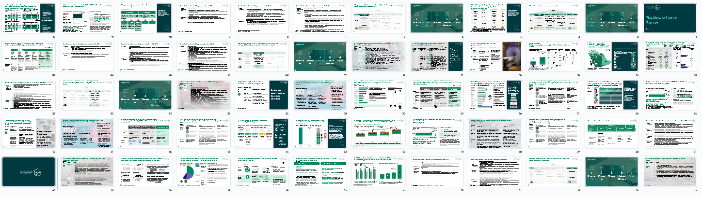 Translation of “Healthcare Sector 2025: sectorial introduction”  